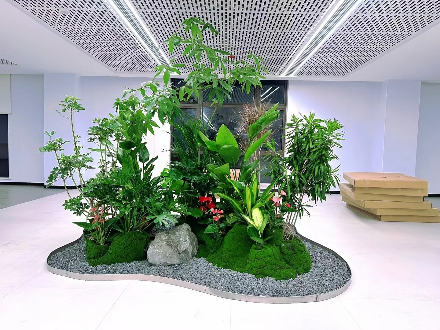 余姚植物出租，用绿植点亮每一个温馨角落