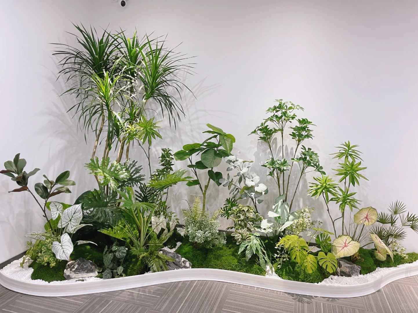 余姚植物出租，用绿植点亮每一个温馨角落